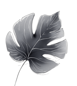 Large feuille en noir et blanc